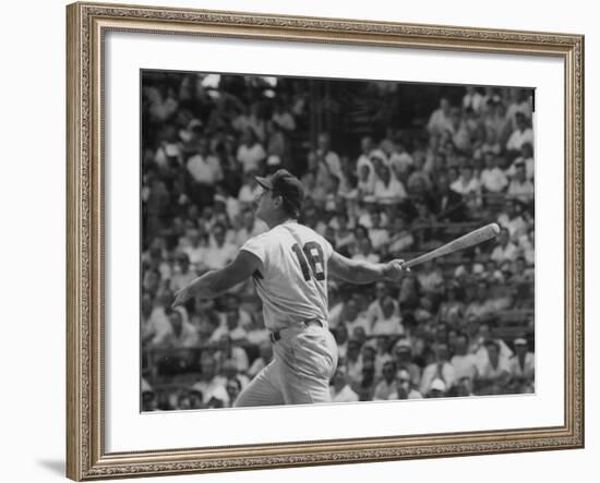 Action Shot of Cincinatti Red's Ted Kluszewski, Following the Direction of Baseball from His Hit-John Dominis-Framed Premium Photographic Print