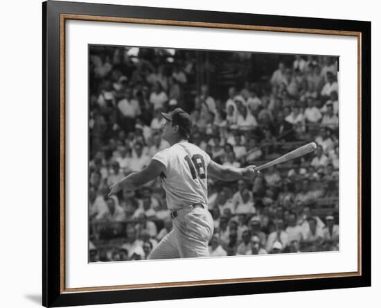 Action Shot of Cincinatti Red's Ted Kluszewski, Following the Direction of Baseball from His Hit-John Dominis-Framed Premium Photographic Print