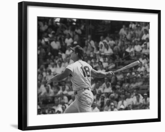 Action Shot of Cincinatti Red's Ted Kluszewski, Following the Direction of Baseball from His Hit-John Dominis-Framed Premium Photographic Print