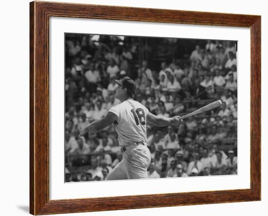 Action Shot of Cincinatti Red's Ted Kluszewski, Following the Direction of Baseball from His Hit-John Dominis-Framed Premium Photographic Print