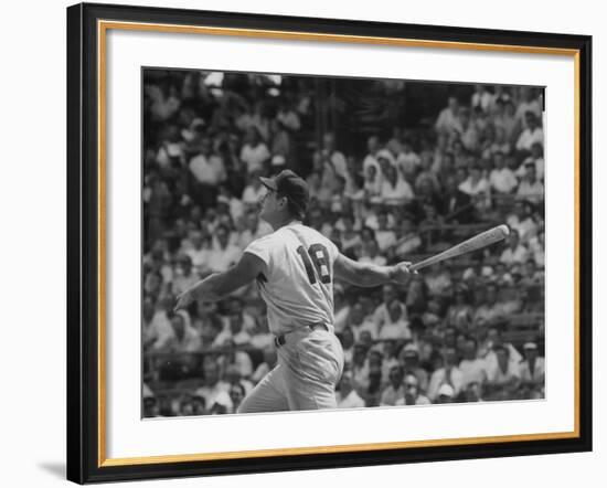 Action Shot of Cincinatti Red's Ted Kluszewski, Following the Direction of Baseball from His Hit-John Dominis-Framed Premium Photographic Print