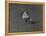 Action Shot of Willie Mays During the Giant Vs. Dodgers Game-Yale Joel-Framed Premier Image Canvas