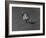 Action Shot of Willie Mays During the Giant Vs. Dodgers Game-Yale Joel-Framed Premium Photographic Print