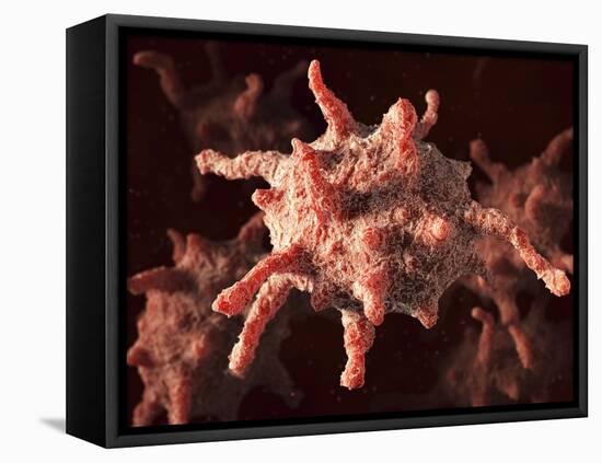 Activated Platelets, Artwork-David Mack-Framed Premier Image Canvas