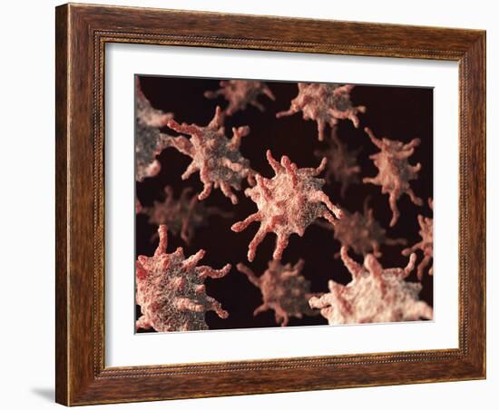 Activated Platelets, Artwork-David Mack-Framed Photographic Print