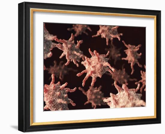 Activated Platelets, Artwork-David Mack-Framed Photographic Print