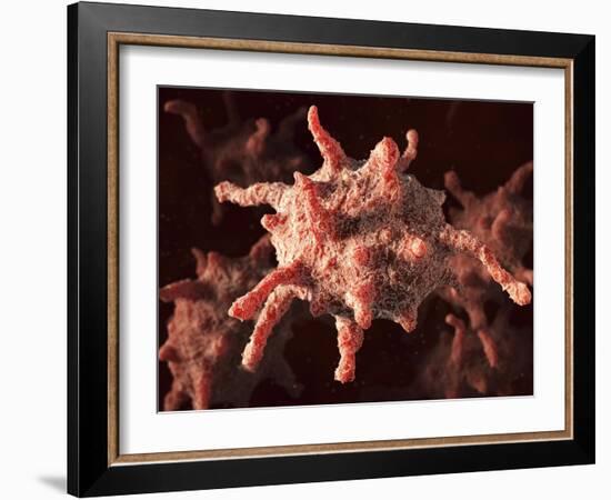 Activated Platelets, Artwork-David Mack-Framed Photographic Print