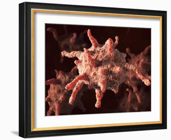 Activated Platelets, Artwork-David Mack-Framed Photographic Print