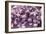 Activated Platelets, SEM-NIBSC-Framed Photographic Print