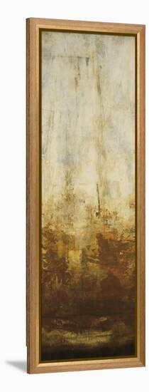 Active Energy II-Randy Hibberd-Framed Stretched Canvas