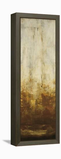 Active Energy II-Randy Hibberd-Framed Stretched Canvas