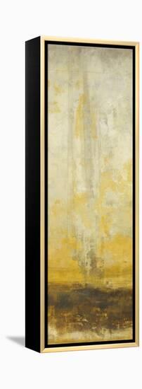 Active Energy III-Randy Hibberd-Framed Stretched Canvas