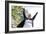 Active Senior Woman-Science Photo Library-Framed Photographic Print