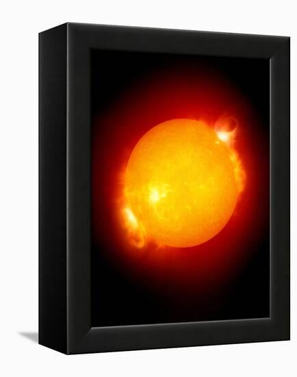 Active Sun-Detlev Van Ravenswaay-Framed Premier Image Canvas