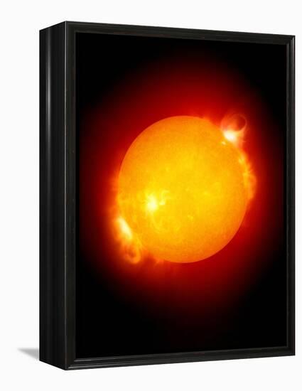 Active Sun-Detlev Van Ravenswaay-Framed Premier Image Canvas