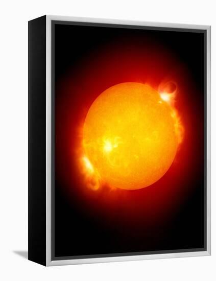 Active Sun-Detlev Van Ravenswaay-Framed Premier Image Canvas