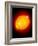 Active Sun-Detlev Van Ravenswaay-Framed Photographic Print