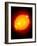 Active Sun-Detlev Van Ravenswaay-Framed Photographic Print