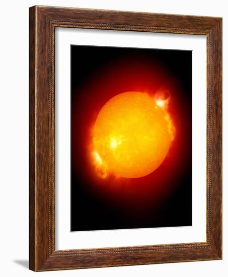 Active Sun-Detlev Van Ravenswaay-Framed Photographic Print