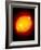 Active Sun-Detlev Van Ravenswaay-Framed Photographic Print