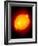 Active Sun-Detlev Van Ravenswaay-Framed Photographic Print