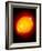 Active Sun-Detlev Van Ravenswaay-Framed Photographic Print