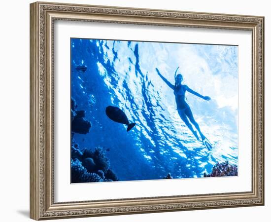 Active Woman Diving in the Sea and Enjoying Wild Nature, Swimming Underwater and Consider Different-Anna Omelchenko-Framed Photographic Print