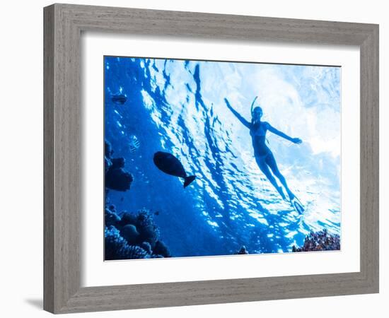 Active Woman Diving in the Sea and Enjoying Wild Nature, Swimming Underwater and Consider Different-Anna Omelchenko-Framed Photographic Print