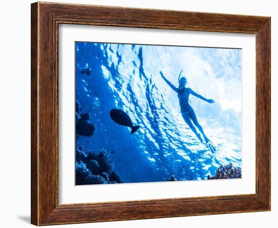 Active Woman Diving in the Sea and Enjoying Wild Nature, Swimming Underwater and Consider Different-Anna Omelchenko-Framed Photographic Print