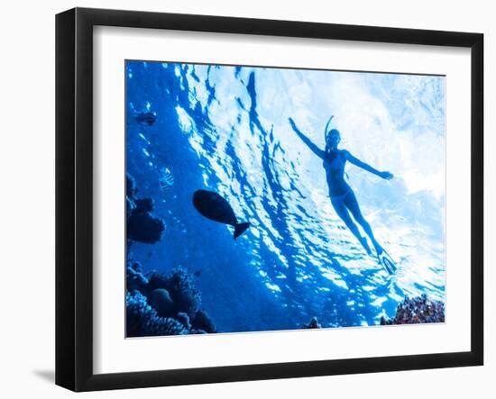 Active Woman Diving in the Sea and Enjoying Wild Nature, Swimming Underwater and Consider Different-Anna Omelchenko-Framed Photographic Print