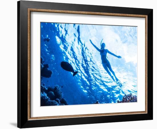 Active Woman Diving in the Sea and Enjoying Wild Nature, Swimming Underwater and Consider Different-Anna Omelchenko-Framed Photographic Print