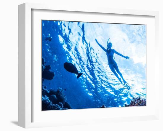 Active Woman Diving in the Sea and Enjoying Wild Nature, Swimming Underwater and Consider Different-Anna Omelchenko-Framed Photographic Print