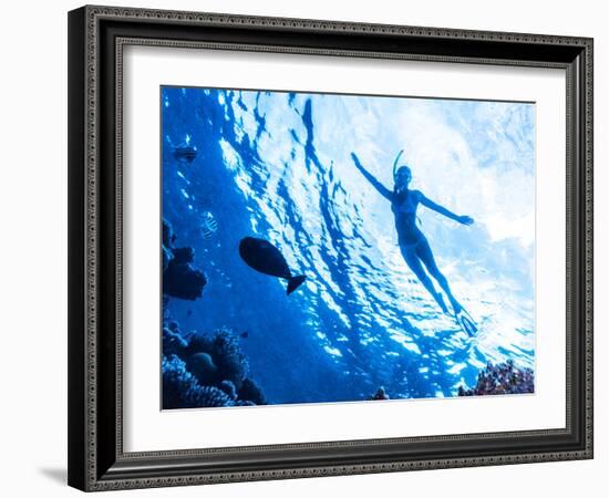 Active Woman Diving in the Sea and Enjoying Wild Nature, Swimming Underwater and Consider Different-Anna Omelchenko-Framed Photographic Print