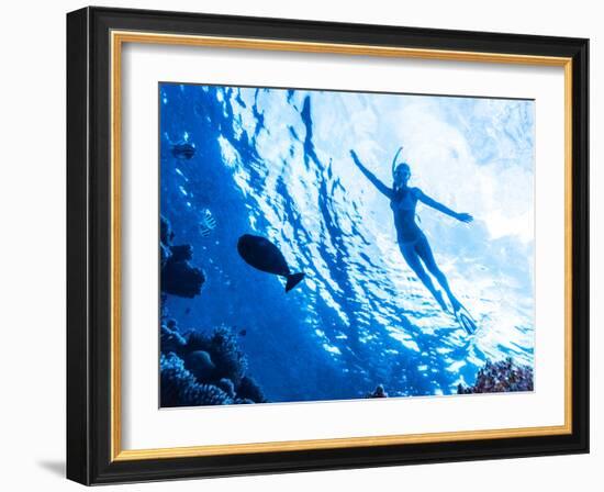 Active Woman Diving in the Sea and Enjoying Wild Nature, Swimming Underwater and Consider Different-Anna Omelchenko-Framed Photographic Print