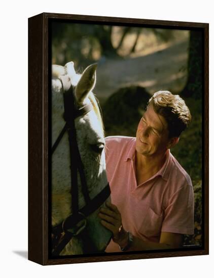 Actor and California Gubernatorial Candidate Ronald Reagan Petting Horse Outside on Ranch at Home-Bill Ray-Framed Premier Image Canvas