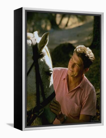 Actor and California Gubernatorial Candidate Ronald Reagan Petting Horse Outside on Ranch at Home-Bill Ray-Framed Premier Image Canvas
