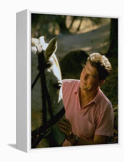 Actor and California Gubernatorial Candidate Ronald Reagan Petting Horse Outside on Ranch at Home-Bill Ray-Framed Premier Image Canvas