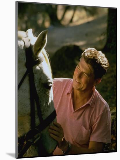 Actor and California Gubernatorial Candidate Ronald Reagan Petting Horse Outside on Ranch at Home-Bill Ray-Mounted Photographic Print