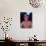 Actor Christopher Atkins-David Mcgough-Premium Photographic Print displayed on a wall