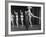 Actor Clowning around with Dancing Girls During the Nightlife in Las Vegas-Loomis Dean-Framed Premium Photographic Print