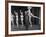 Actor Clowning around with Dancing Girls During the Nightlife in Las Vegas-Loomis Dean-Framed Premium Photographic Print