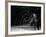 Actor Guy Williams Practicing Using a Whip for His Role as Zorro-Allan Grant-Framed Premium Photographic Print