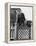 Actor James Stewart in Hollywood, 1938-Alfred Eisenstaedt-Framed Premier Image Canvas