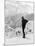 Actor Robert Redford Skiing-John Dominis-Mounted Premium Photographic Print