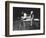 Actor/Singer Sammy Davis Jr. with Actress Paula Wayne During Rehearsal of "Golden Boy"-Leonard Mccombe-Framed Photographic Print