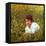 Actor Warren Beatty Sitting in Field of Flowers-Ralph Crane-Framed Premier Image Canvas