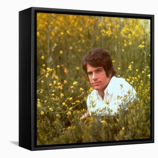 Actor Warren Beatty Sitting in Field of Flowers-Ralph Crane-Framed Premier Image Canvas