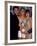 Actors Jason Priestley, Tori Spelling and Shannen Doherty at the People's Choice Awards-David Mcgough-Framed Premium Photographic Print