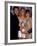 Actors Jason Priestley, Tori Spelling and Shannen Doherty at the People's Choice Awards-David Mcgough-Framed Premium Photographic Print