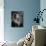 Actress Elizabeth Taylor-J^ R^ Eyerman-Mounted Premium Photographic Print displayed on a wall